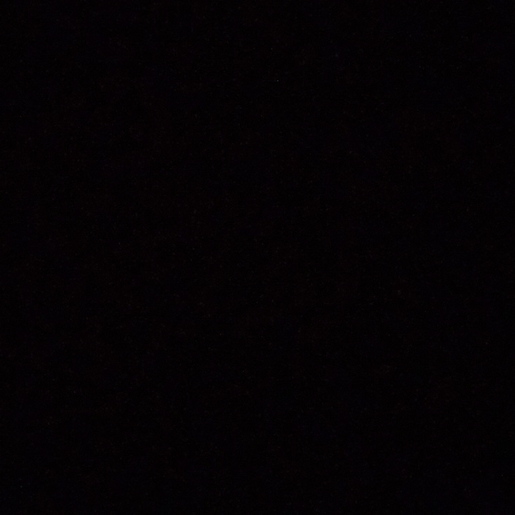 Meet your Posher, Devin - Picture 1 of 1